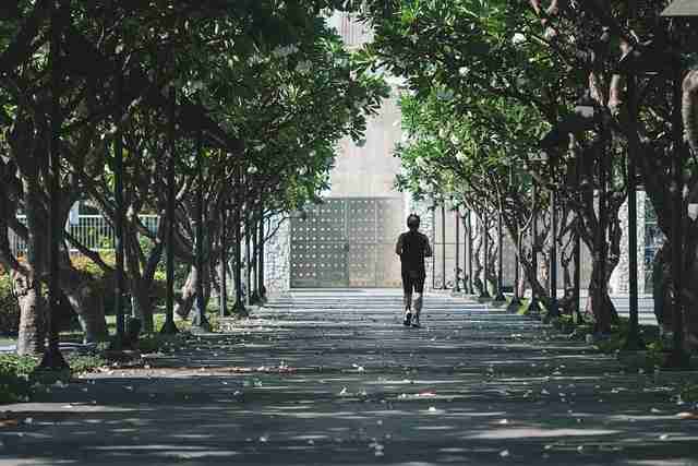 离线蘑菇视频体验：影迷福音